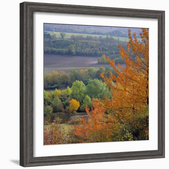 The North Downs, Near Dorking, Surrey, England, UK, Europe-Roy Rainford-Framed Photographic Print