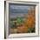 The North Downs, Near Dorking, Surrey, England, UK, Europe-Roy Rainford-Framed Photographic Print