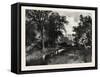 The North Iron Bridge, and Ravine, Rosedale, Canada, Nineteenth Century-null-Framed Stretched Canvas