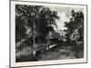 The North Iron Bridge, and Ravine, Rosedale, Canada, Nineteenth Century-null-Mounted Giclee Print