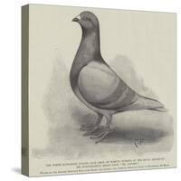 The North Middlesex Flying Club Show of Homing Pigeons at the Royal Aquarium-null-Stretched Canvas