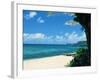 The North Shore of Oahu-Bill Romerhaus-Framed Photographic Print