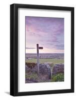 The North Yorkshire Countryside from Kirby Hill, Yorkshire, England, United Kingdom, Europe-Julian Elliott-Framed Photographic Print