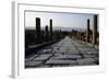 The Northern Cardo-null-Framed Giclee Print