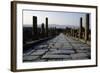 The Northern Cardo-null-Framed Giclee Print