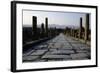 The Northern Cardo-null-Framed Giclee Print