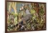 The northern flicker is a medium-sized bird of the woodpecker family.-Richard Wright-Framed Photographic Print