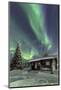 The Northern Lights (Aurora borealis) frame the wooden hut in the snowy woods, Pallas, Yllastunturi-Roberto Moiola-Mounted Photographic Print