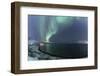 The Northern Lights (aurora borealis) lighting up the sky near Tromso, Norway, Scandinavia, Europe-Julian Elliott-Framed Photographic Print