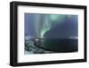 The Northern Lights (aurora borealis) lighting up the sky near Tromso, Norway, Scandinavia, Europe-Julian Elliott-Framed Photographic Print