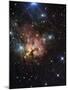 The Northern Trifid Nebula-Stocktrek Images-Mounted Photographic Print