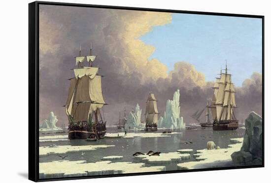 The Northern Whale Fishery: the "Swan" and "Isabella", C. 1840-John Of Hull Ward-Framed Stretched Canvas