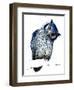 The Northern White-Faced Owl on White, 2019, (Pen and Ink)-Mike Davis-Framed Giclee Print