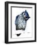 The Northern White-Faced Owl on White, 2019, (Pen and Ink)-Mike Davis-Framed Giclee Print