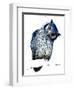 The Northern White-Faced Owl on White, 2019, (Pen and Ink)-Mike Davis-Framed Giclee Print
