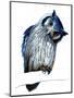 The Northern White-Faced Owl on White, 2019, (Pen and Ink)-Mike Davis-Mounted Giclee Print