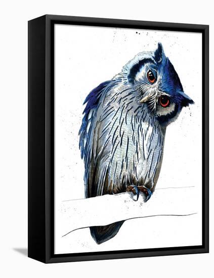 The Northern White-Faced Owl on White, 2019, (Pen and Ink)-Mike Davis-Framed Stretched Canvas