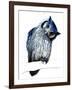 The Northern White-Faced Owl on White, 2019, (Pen and Ink)-Mike Davis-Framed Giclee Print