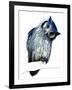 The Northern White-Faced Owl on White, 2019, (Pen and Ink)-Mike Davis-Framed Giclee Print