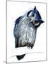 The Northern White-Faced Owl on White, 2019, (Pen and Ink)-Mike Davis-Mounted Giclee Print