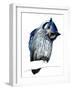 The Northern White-Faced Owl on White, 2019, (Pen and Ink)-Mike Davis-Framed Giclee Print