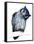 The Northern White-Faced Owl on White, 2019, (Pen and Ink)-Mike Davis-Framed Stretched Canvas