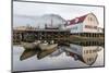 The Norwegian Fishing Town of Petersburg, Southeast Alaska, United States of America, North America-Michael Nolan-Mounted Photographic Print