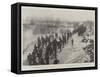 The Norwegian Winter Military Manoeuvres-null-Framed Stretched Canvas
