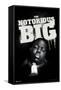 The Notorious B.I.G. - Chain-Trends International-Framed Stretched Canvas