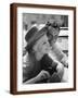 Brown Frame