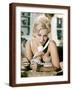 Brown Frame