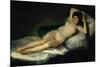 The Nude Maja, circa 1800-Francisco de Goya-Mounted Giclee Print