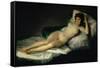 The Nude Maja, circa 1800-Francisco de Goya-Framed Stretched Canvas