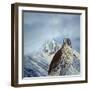 The Nursery-Michael Budden-Framed Giclee Print