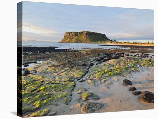 The Nut, Circular Head, Stanley, Tasmania, Australia, Pacific-Jochen Schlenker-Stretched Canvas