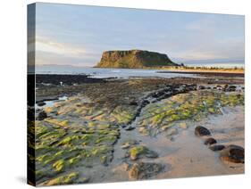 The Nut, Circular Head, Stanley, Tasmania, Australia, Pacific-Jochen Schlenker-Stretched Canvas