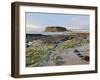 The Nut, Circular Head, Stanley, Tasmania, Australia, Pacific-Jochen Schlenker-Framed Photographic Print