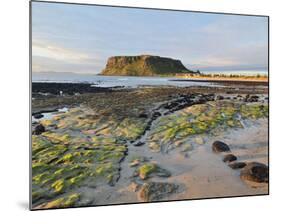 The Nut, Circular Head, Stanley, Tasmania, Australia, Pacific-Jochen Schlenker-Mounted Photographic Print