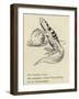 The Nutritious Newt-Edward Lear-Framed Giclee Print