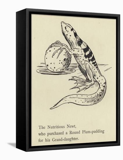 The Nutritious Newt-Edward Lear-Framed Stretched Canvas
