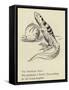 The Nutritious Newt-Edward Lear-Framed Stretched Canvas