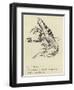 The Nutritious Newt-Edward Lear-Framed Giclee Print