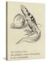 The Nutritious Newt-Edward Lear-Stretched Canvas