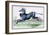 The Nyl-Ghau-John Stewart-Framed Art Print