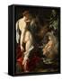 The Nymph Salmacis and Hermaphroditus, Ca 1580-1582-Bartholomeus Spranger-Framed Stretched Canvas