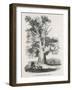 The Oak Near Shelton-null-Framed Art Print