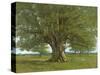 The Oak of Flagey, Called Vercingetorix-Gustave Courbet-Stretched Canvas