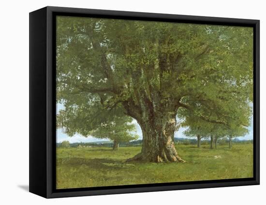 The Oak of Flagey, Called Vercingetorix-Gustave Courbet-Framed Stretched Canvas