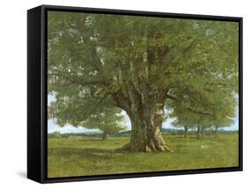 The Oak of Flagey, Called Vercingetorix-Gustave Courbet-Framed Stretched Canvas