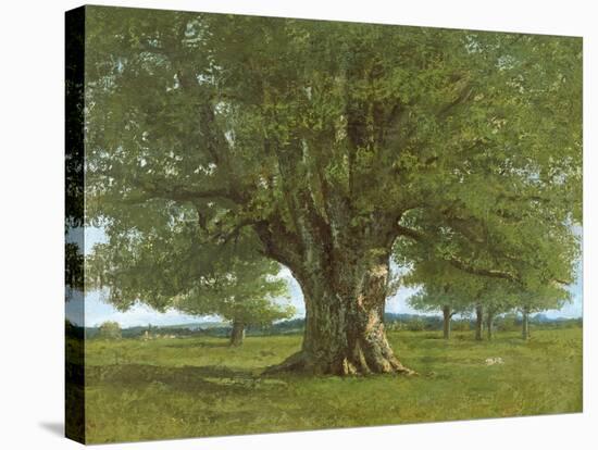 The Oak of Flagey, Called Vercingetorix-Gustave Courbet-Stretched Canvas